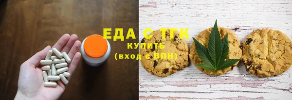 шишки Гусиноозёрск