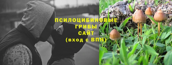 PSILOCYBIN Гусев